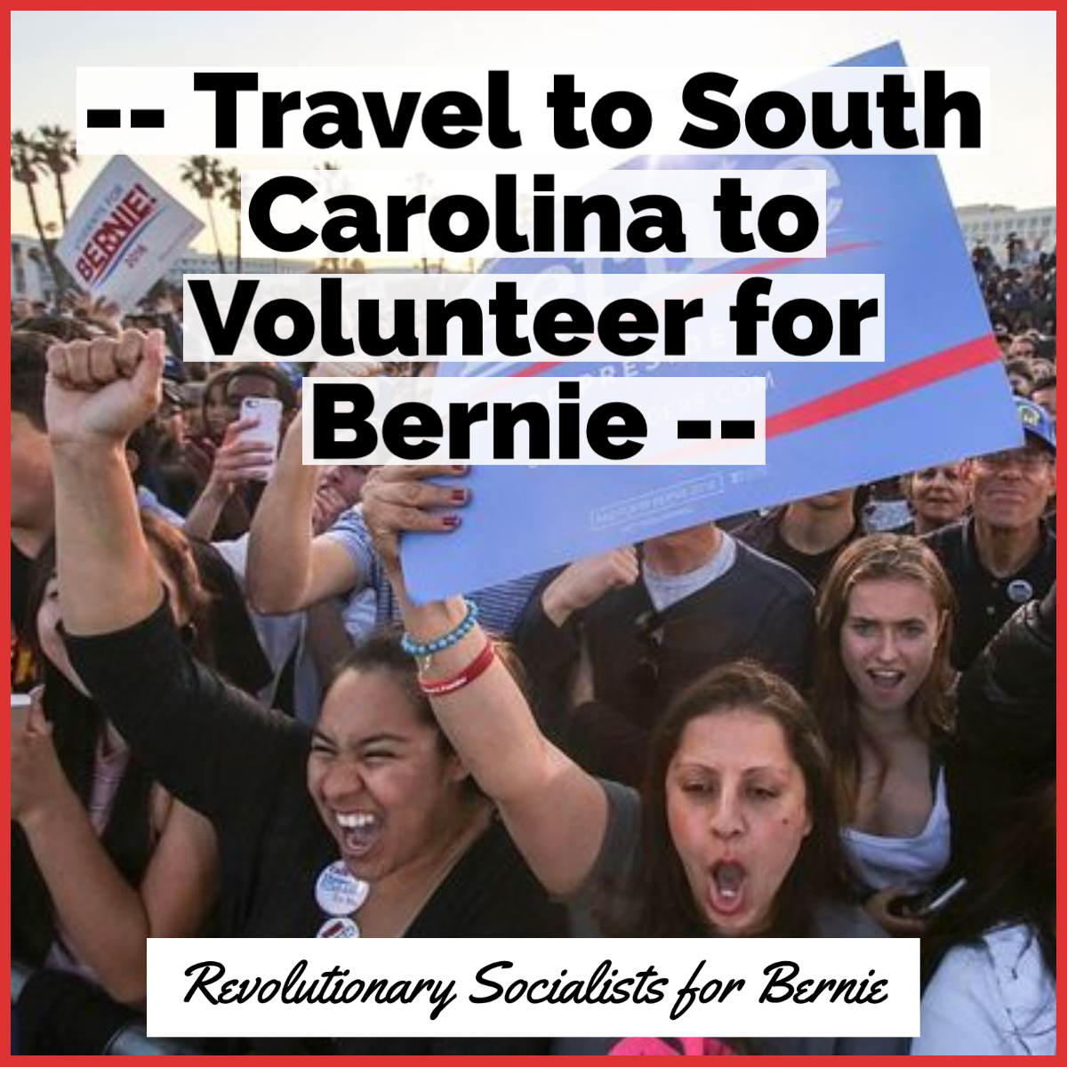 Travel from Chicago to South Carolina to volunteer for Bernie