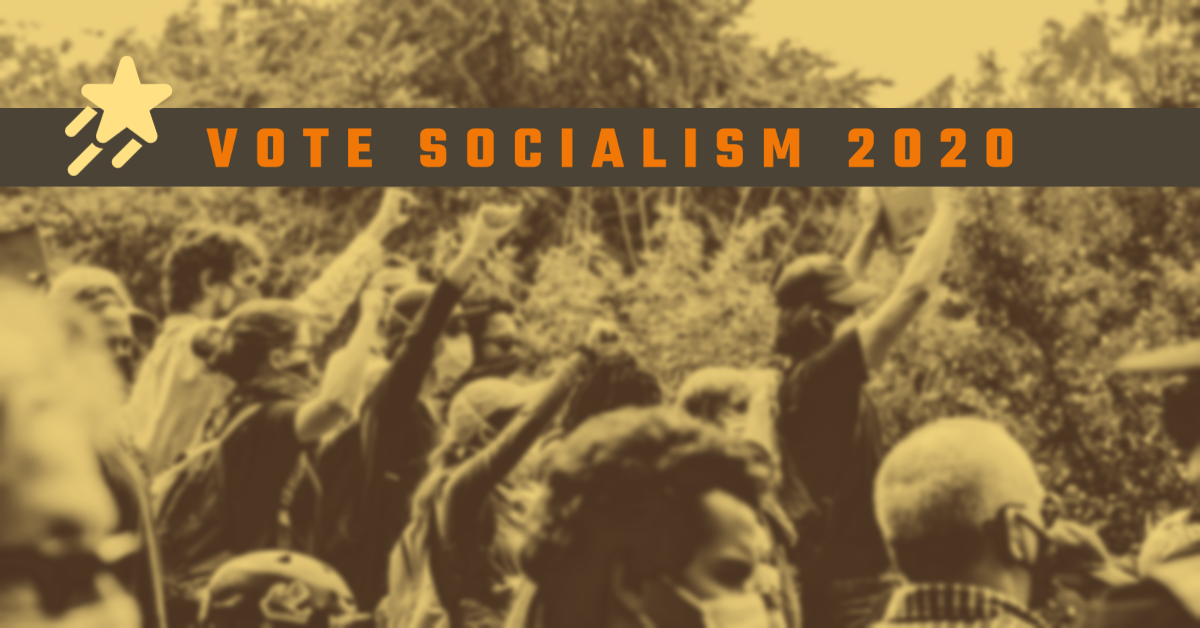 Vote Socialism in 2020